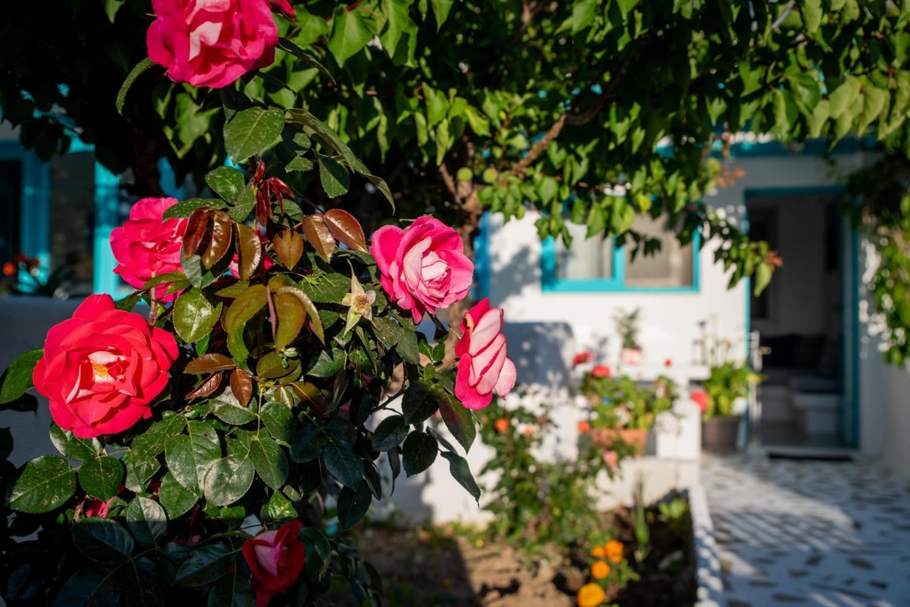 Naxos CityAzzurro Naxos, Azzurro I - Azzurro II - Azzurro IIIアパートメント エクステリア 写真